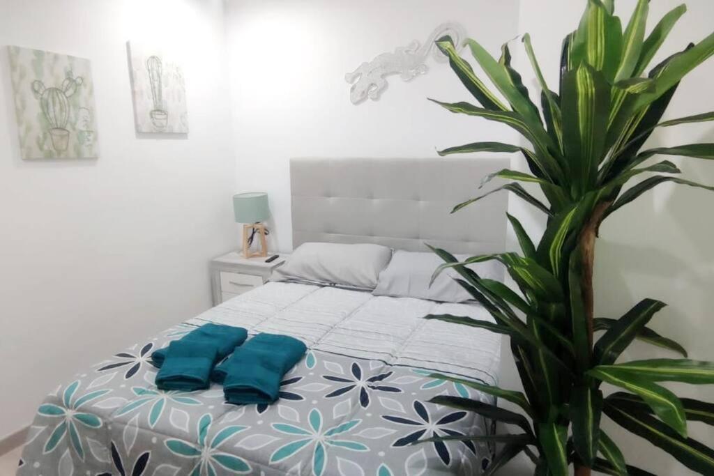 - Lujo - Parking, Maquina Arcade, Wifi Y Netflix Oviedo